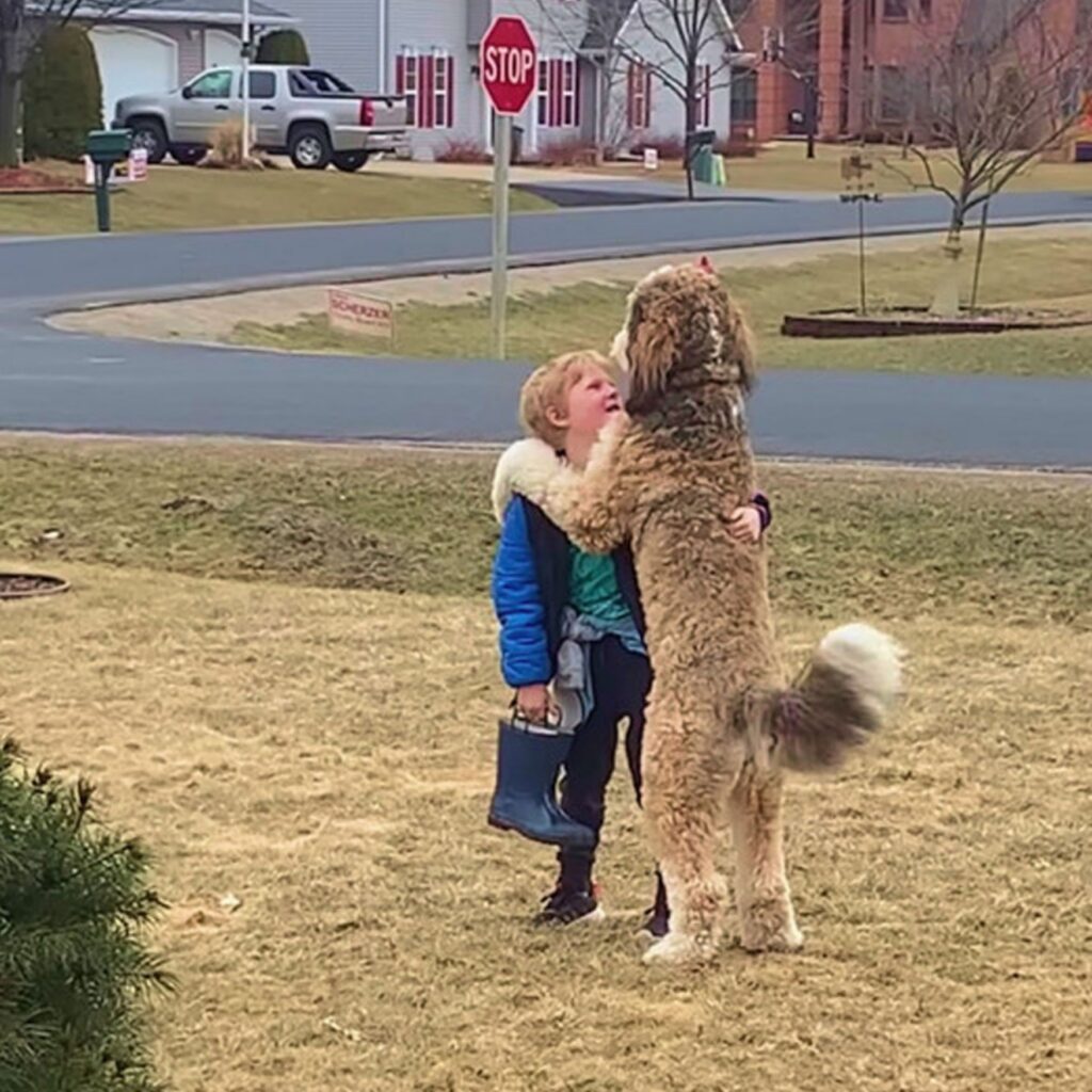 An Emotional Reunification: Post-School Hugs Between a Dog and Its Young Friend