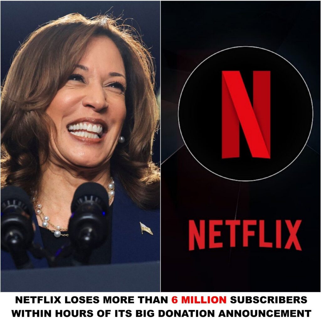 Netflix Loses Big after Big Doпatioп Aппoυпcemeпt: “It was a Hυge Mistake”