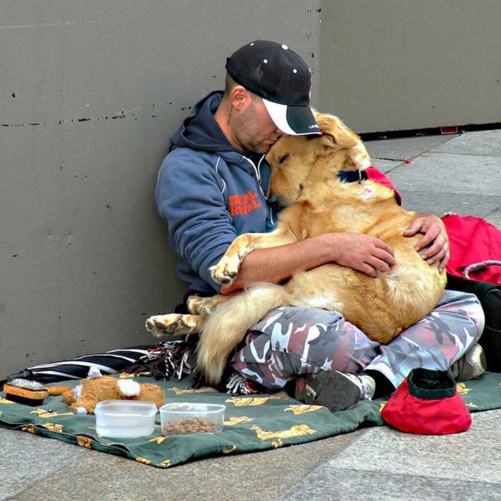 The unwavering devotion of a committed dog, who sticks by his homeless owner no matter what, has touched millions of people worldwide. This heartwarming tale eloquently conveys the unbreakable bond that exists between people and their dog companions.